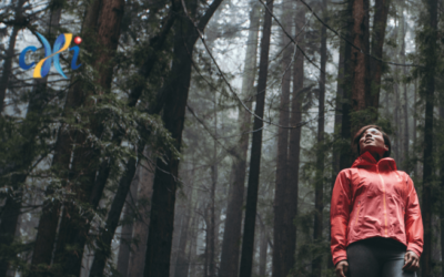 Inward Journey: How to Cultivate Well-being