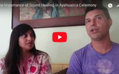 Ayahuasca Ceremony and Shipibo Tradition