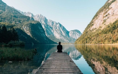 The effects of grounding (earthing) on inflammation, the immune response, wound healing, and prevention and treatment of chronic inflammatory and autoimmune diseases