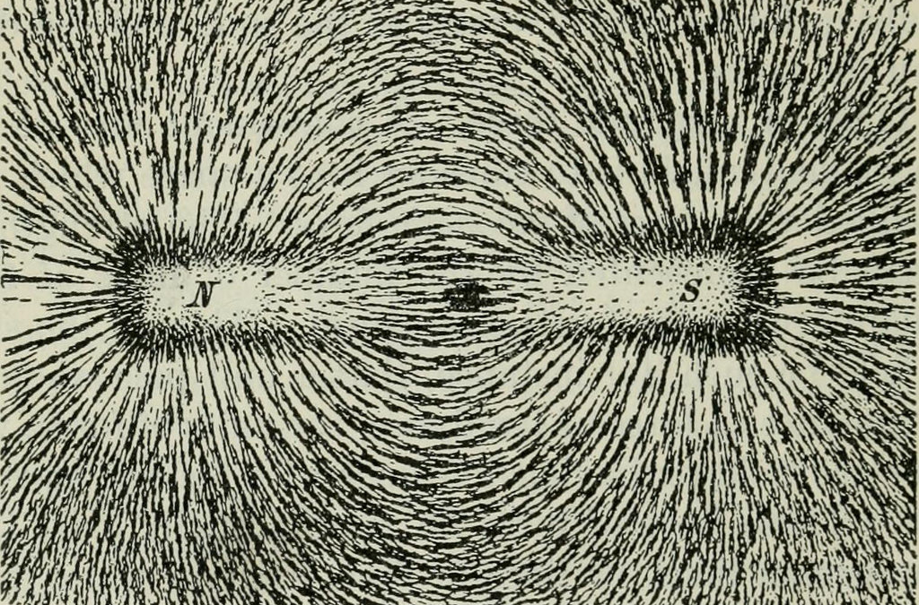 The Body Electric: A Brief History of Healing and Regeneration with Electric and Magnetic Fields