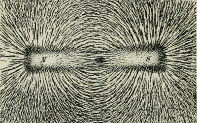 The Body Electric: A Brief History of Healing and Regeneration with Electric and Magnetic Fields