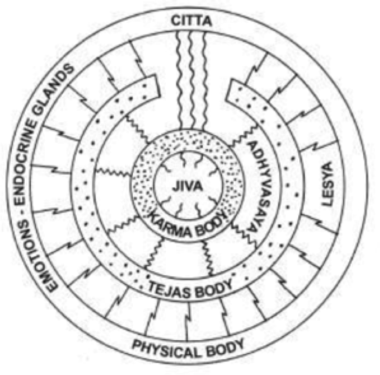 jain theories biophotons