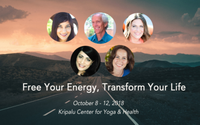 Free Your Energy, Transform Your Life