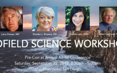 Biofield Science Workshop: Pre-Con at the AIHM Annual Conference 2018