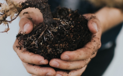 Grounding Meditation