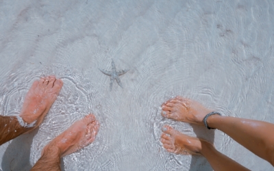 Earthing: Health Implications of Reconnecting the Human Body to the Earth’s Surface Electrons