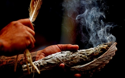 Statutory Regulation of Traditional Medicine Practitioners and Practices: The Need for Distinct Policy Making Guidelines