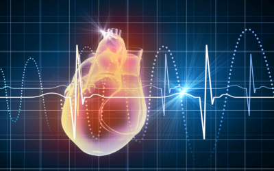 New Frontiers in Heart Rate Variability and Social Coherence Research