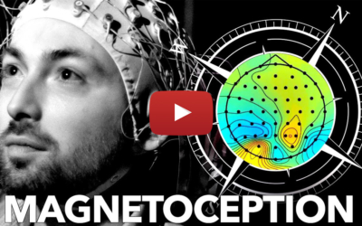 Can Humans Sense Magnetic Fields?