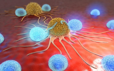 Human Biofield Therapy and the Growth of Mouse Lung Carcinoma
