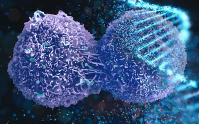 Human Biofield Therapy Modulates Tumor Microenvironment and Cancer Stemness in Mouse Lung Carcinoma